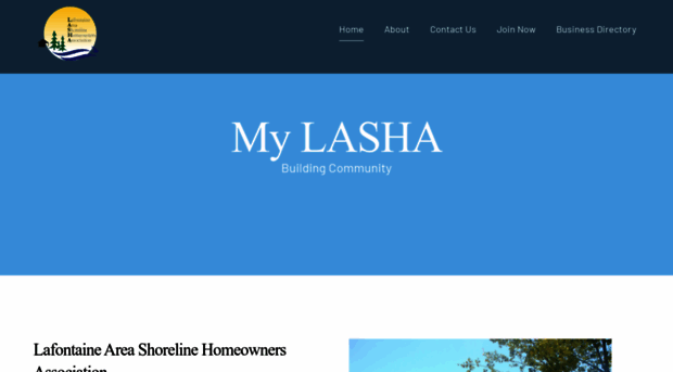 mylasha.com