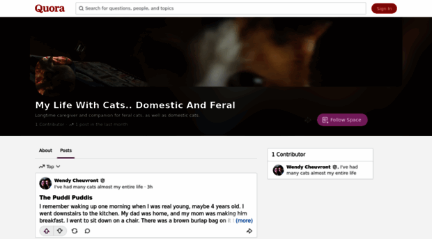 mylifewithcatsdomesticandferal.quora.com