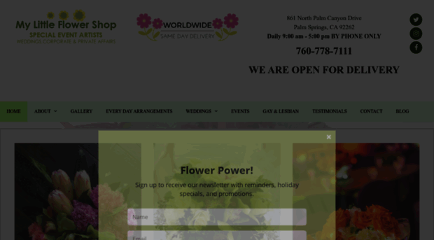 mylittleflowershop.com