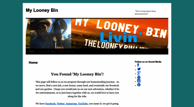 mylooneybin.com