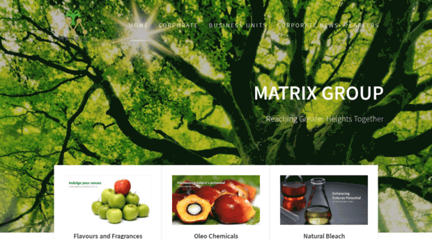 mymatrix.co