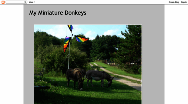 myminiaturedonkeys.blogspot.com