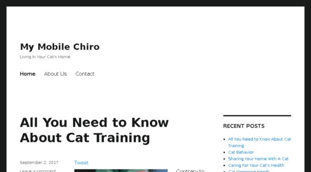 mymobilechiro.com