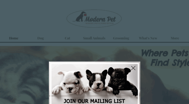 mymodernpet.net