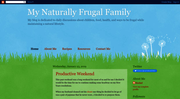 mynaturallyfrugalfamily.blogspot.com