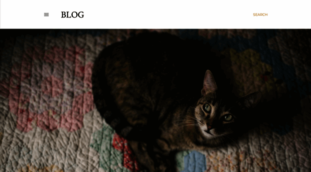 mynewtestmyblog.blogspot.com