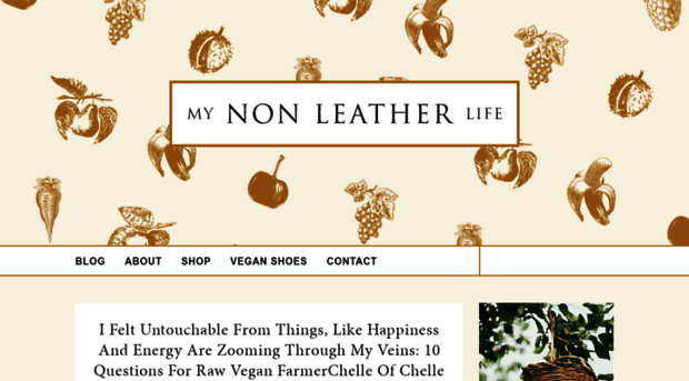 mynonleatherlife.com