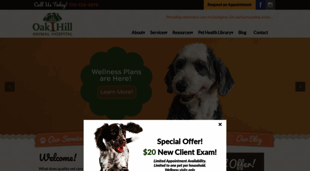 myoakhillvet.com