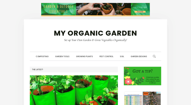 myorganicgarden.in