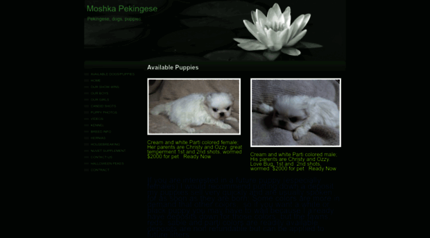 mypekingese.com