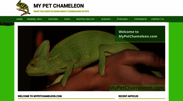 mypetchameleon.com