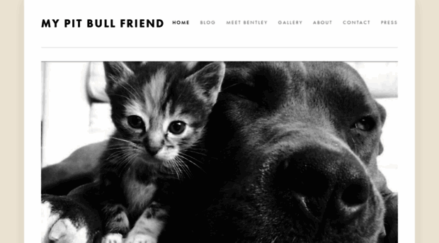 mypitbullfriend.com