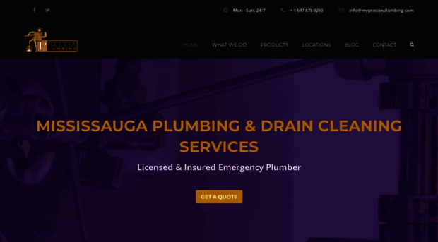 mypreciseplumbing.com