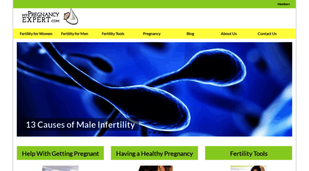 mypregnancyexpert.com