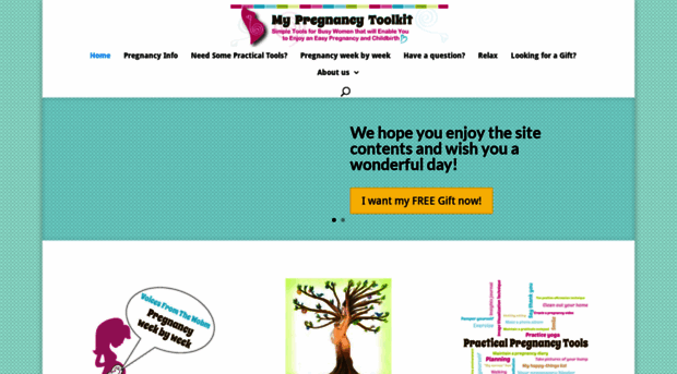 mypregnancytoolkit.com