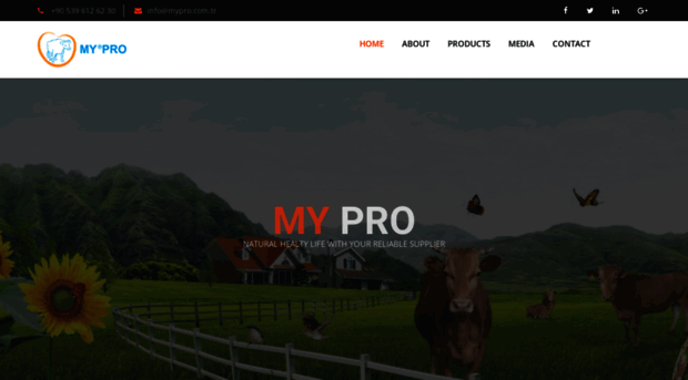 mypro.com.tr