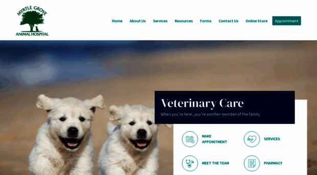 myrtlegroveanimalhospital.com