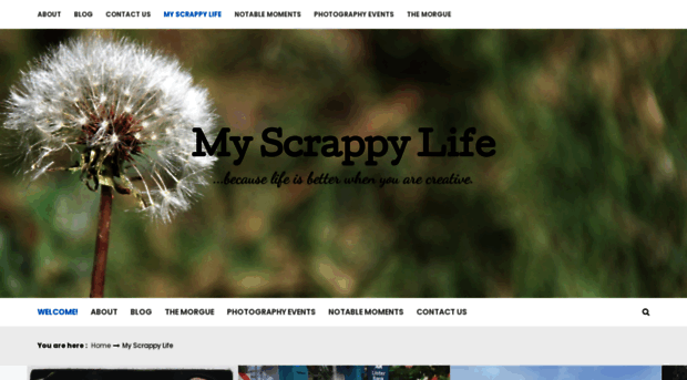 myscrappylife.com