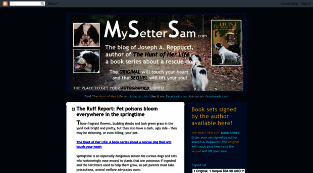 mysettersam.com