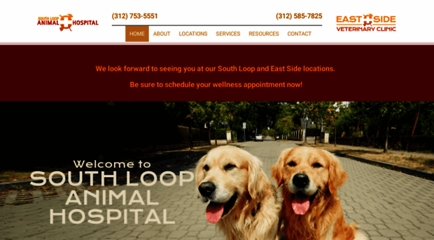 mysouthloopvet.com