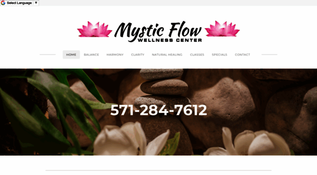 mysticflowwellnesscenter.com