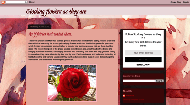 mystockingflowers.blogspot.in