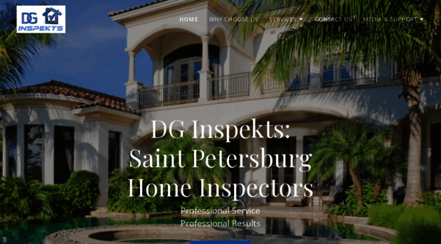 mystpetersburghomeinspector.com