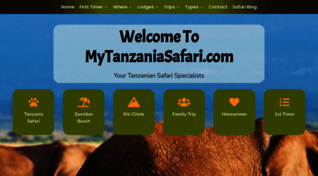 mytanzaniasafari.com