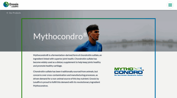 mythocondro.com