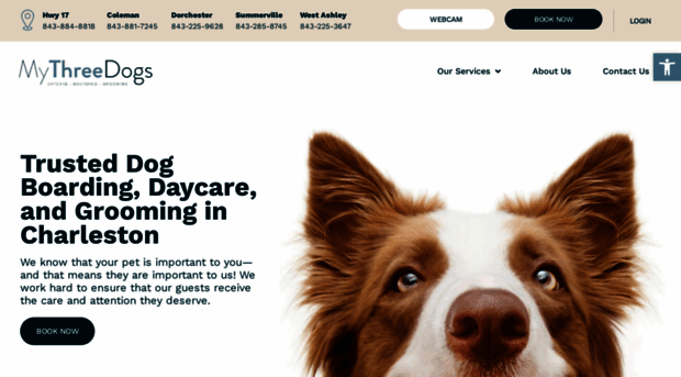 mythreedogs.com