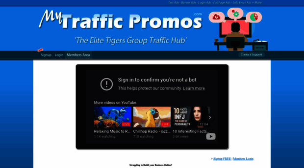 mytrafficpromos.com