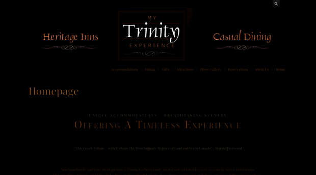 mytrinityexperience.com