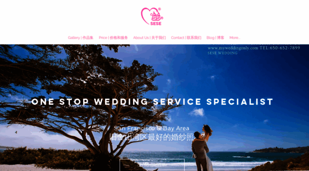 myweddingonly.com