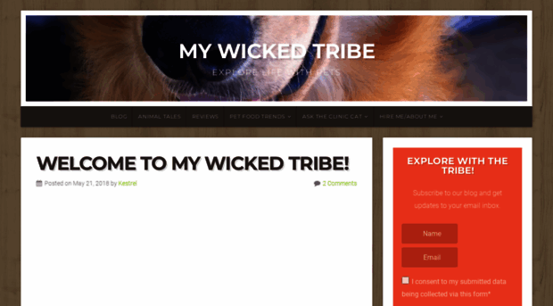 mywickedtribe.com