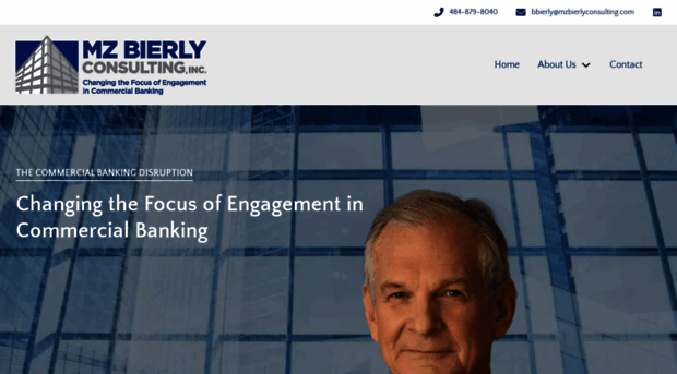 mzbierlyconsulting.com