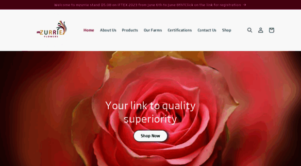mzurrieflowers.co.ke