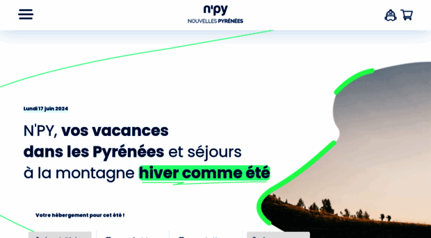 n-py.com