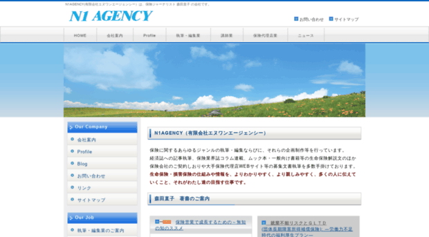 n1agency.com