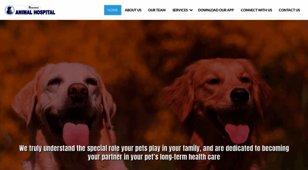 naamansanimalhospital.com