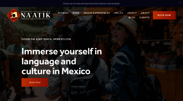 naatikmexico.org