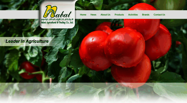 nabat.com