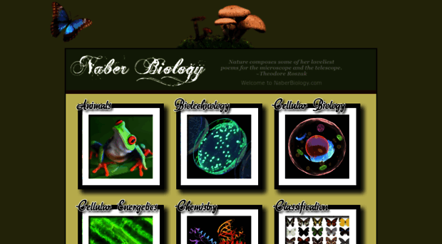 naberbiology.com