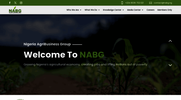 nabg.ng
