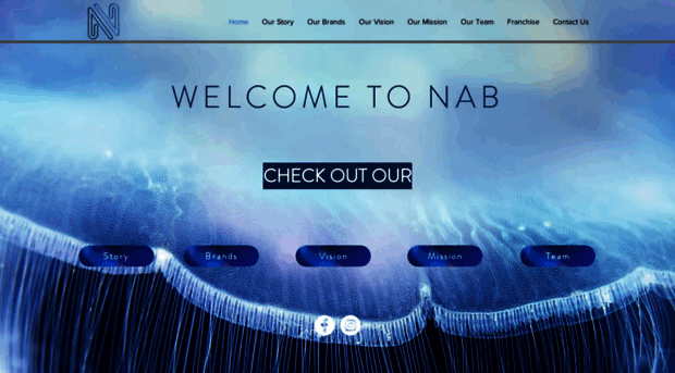 nabgrp.com