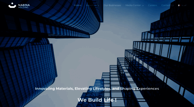 nabinaholding.com