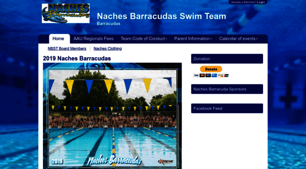 nachesbarracudas.swimtopia.com