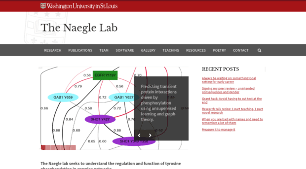 naegle.wustl.edu