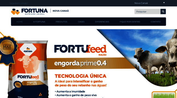 nafortuna.com.br