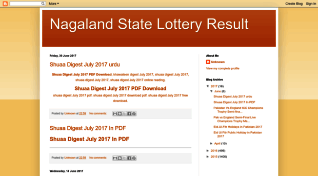 nagalandstatelotteryresult.blogspot.com