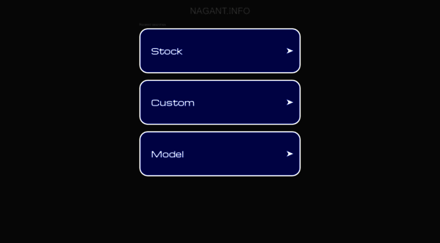 nagant.info